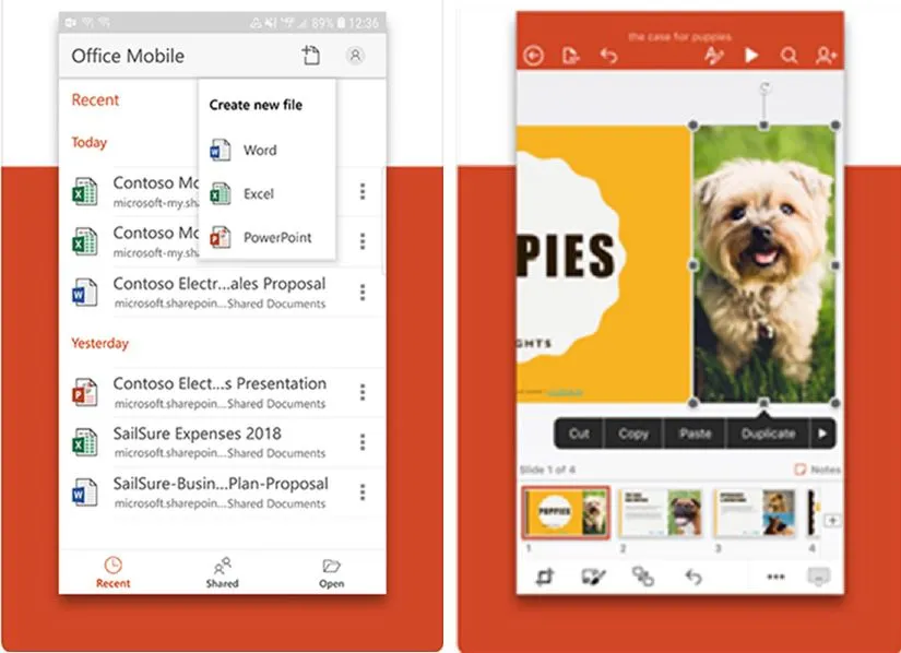 Microsoft pensa ad un’app Office unificata per iPad e iPhone