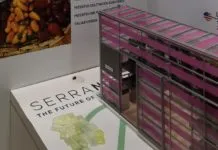 Serranova al CES 2020: le serre modulari con fotoluminescenza per ortaggi a KM 0