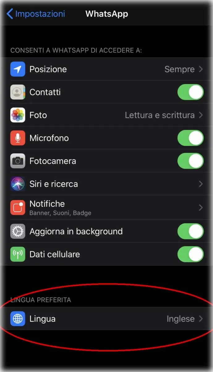 Come cambiare la lingua solo in alcune app di iOS