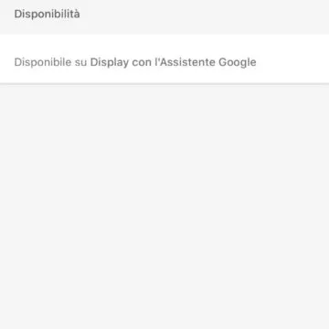 Come fare chiamate e videochiamate con Google Home e Nest Hub
