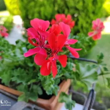 Recensione TCL 10 PRO, ma che bella sorpresa