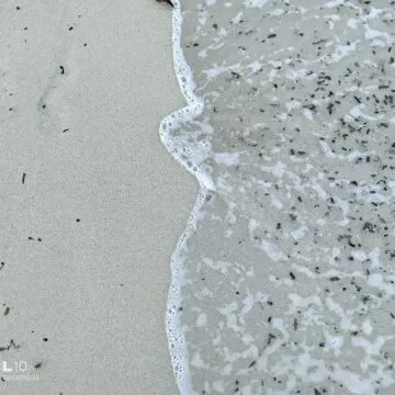 Recensione TCL 10 PRO, ma che bella sorpresa