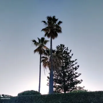 Recensione TCL 10 PRO, ma che bella sorpresa