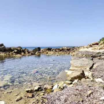 Recensione TCL 10 PRO, ma che bella sorpresa