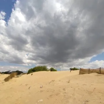 Recensione TCL 10 PRO, ma che bella sorpresa