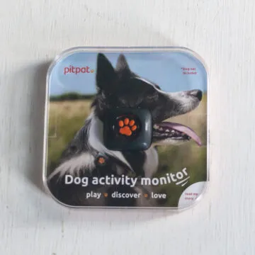 Recensione Pitpat 2, un Fitbit per cani