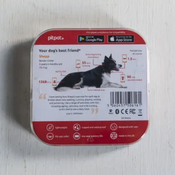 Recensione Pitpat 2, un Fitbit per cani