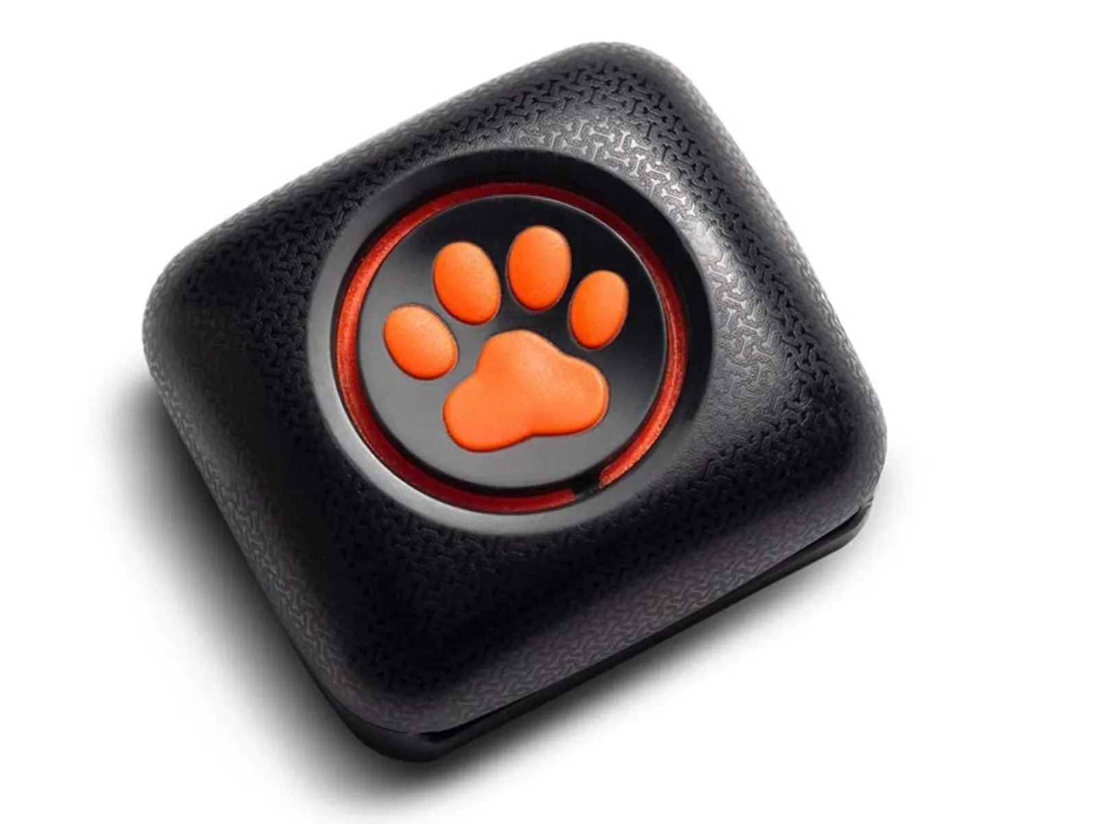 Recensione Pitpat 2, un Fitbit per cani