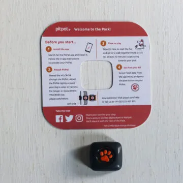 Recensione Pitpat 2, un Fitbit per cani