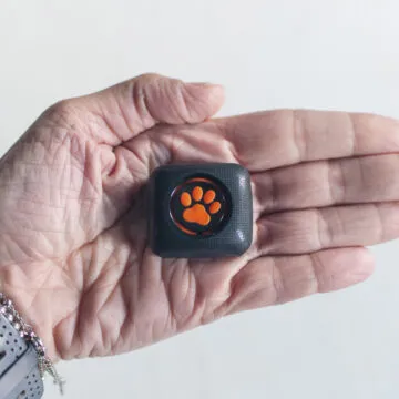 Recensione Pitpat 2, un Fitbit per cani