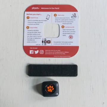 Recensione Pitpat 2, un Fitbit per cani