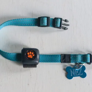 Recensione Pitpat 2, un Fitbit per cani