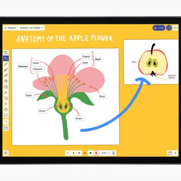 Apple presenta i vincitori del Best of 2020 dell’App Store