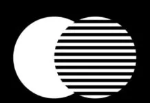 Focos Live per registrare video come professionisti su iPhone 12 Pro Bozza automatica