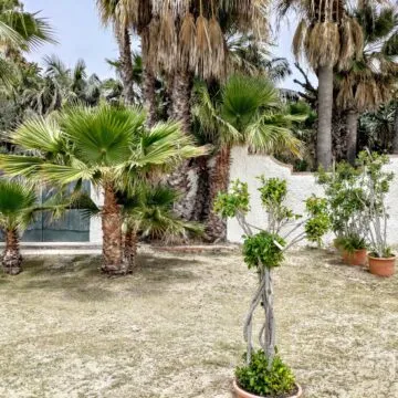 Recensione Asus ROG Phone 5