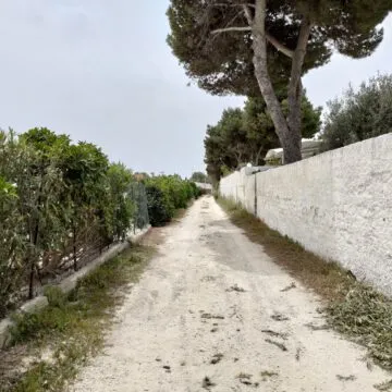 Recensione Asus ROG Phone 5