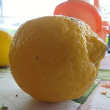 Recensione Asus ROG Phone 5