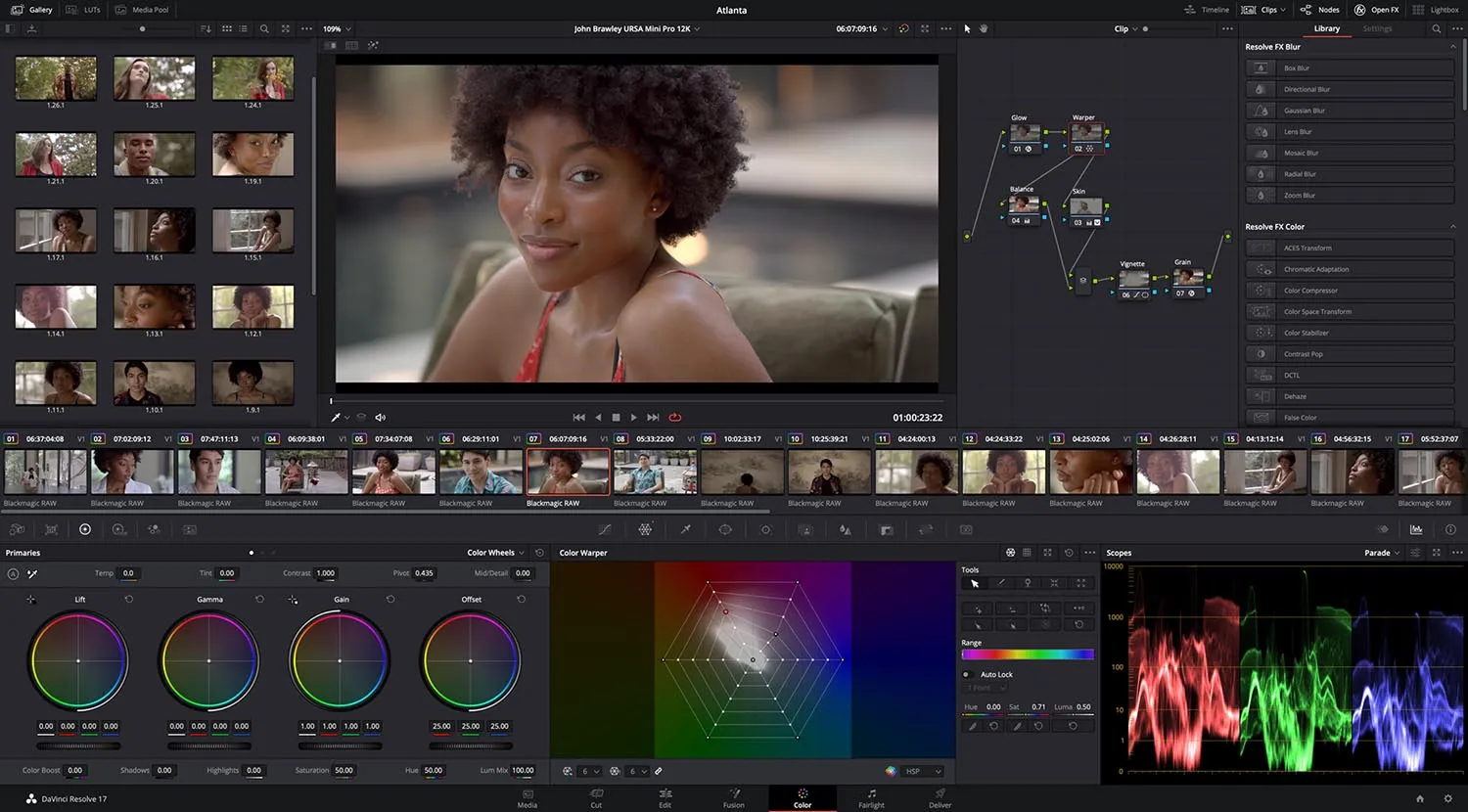 DaVinci Resolve 17.3