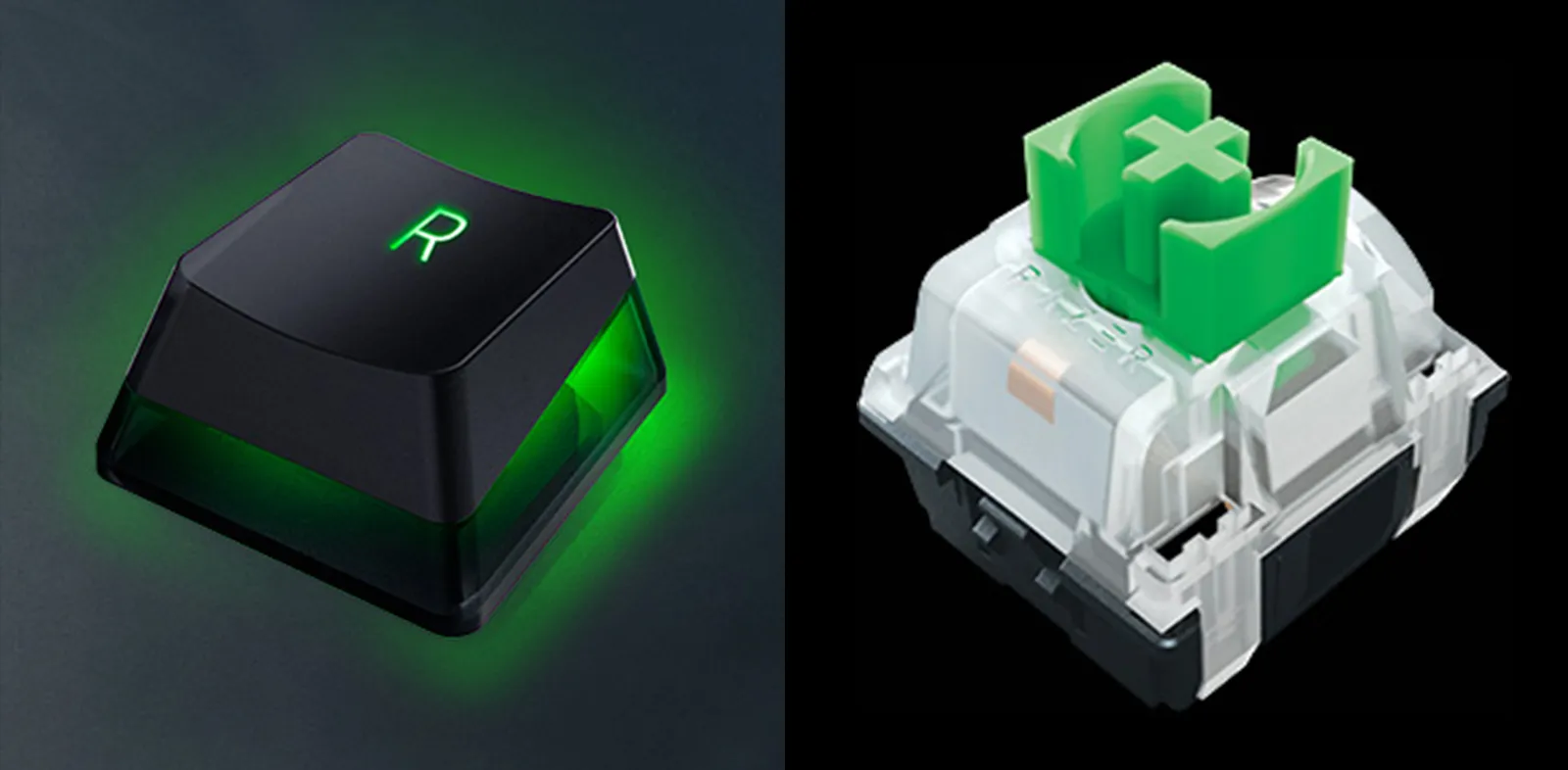 Recensione Razer Blackwidow V3 Mini Hyperspeed Phantom Edition, tastiera purosangue e talentuosa Recensione Razer Blackwidow V3 Mini Hyperspeed Phantom Edition, tastiera purosangue e talentuosa