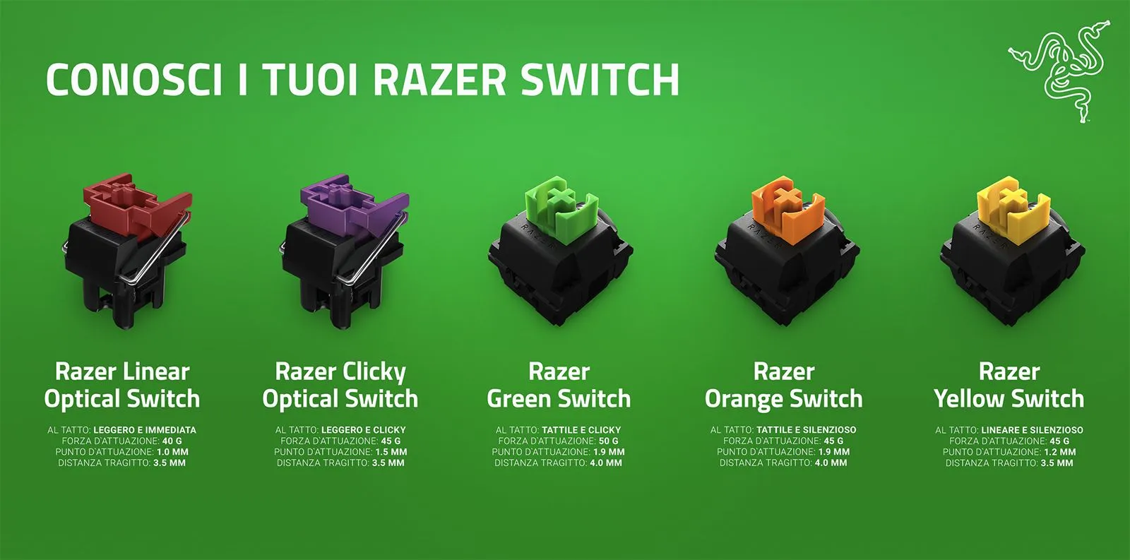 Recensione Razer Blackwidow V3 Mini Hyperspeed Phantom Edition, tastiera purosangue e talentuosa Recensione Razer Blackwidow V3 Mini Hyperspeed Phantom Edition, tastiera purosangue e talentuosa