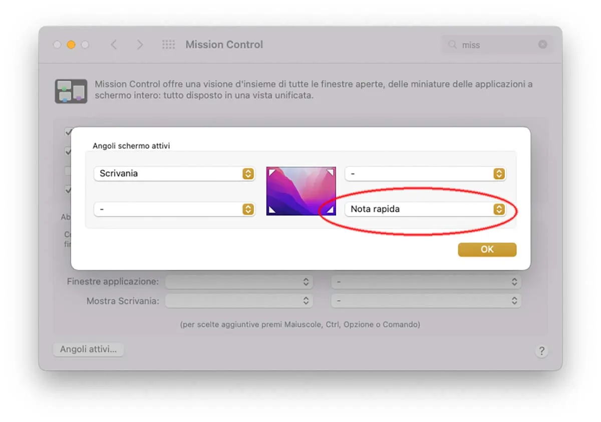 angolonotarapida angolonotarapida