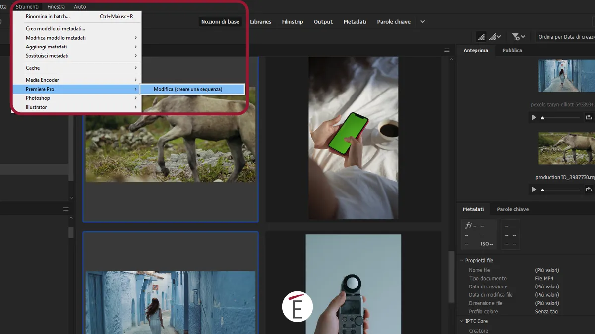 Sei ragioni per usare Adobe Bridge ora Sei ragioni per usare Adobe Bridge ora