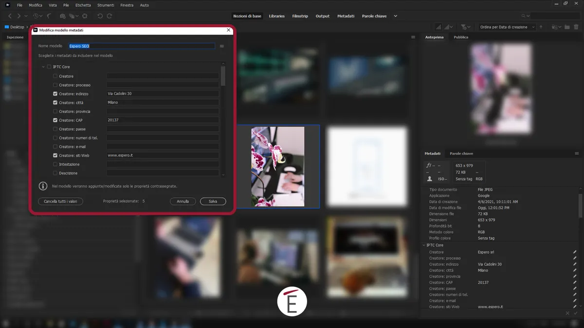 Sei ragioni per usare Adobe Bridge ora Sei ragioni per usare Adobe Bridge ora