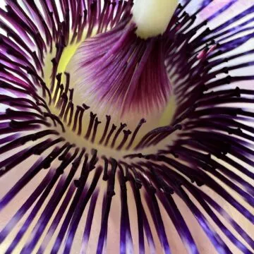 iPhone 13, ancora la scelta più razionale (per quasi tutti)