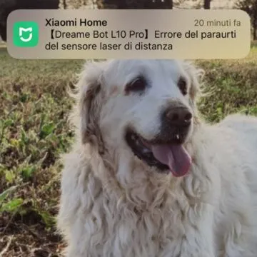 Dreamel10proscreenIMG 6761