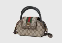 Gucci vende una custodia per AirPods Max da 730€ Gucci vende una custodia per AirPods Max da 730€