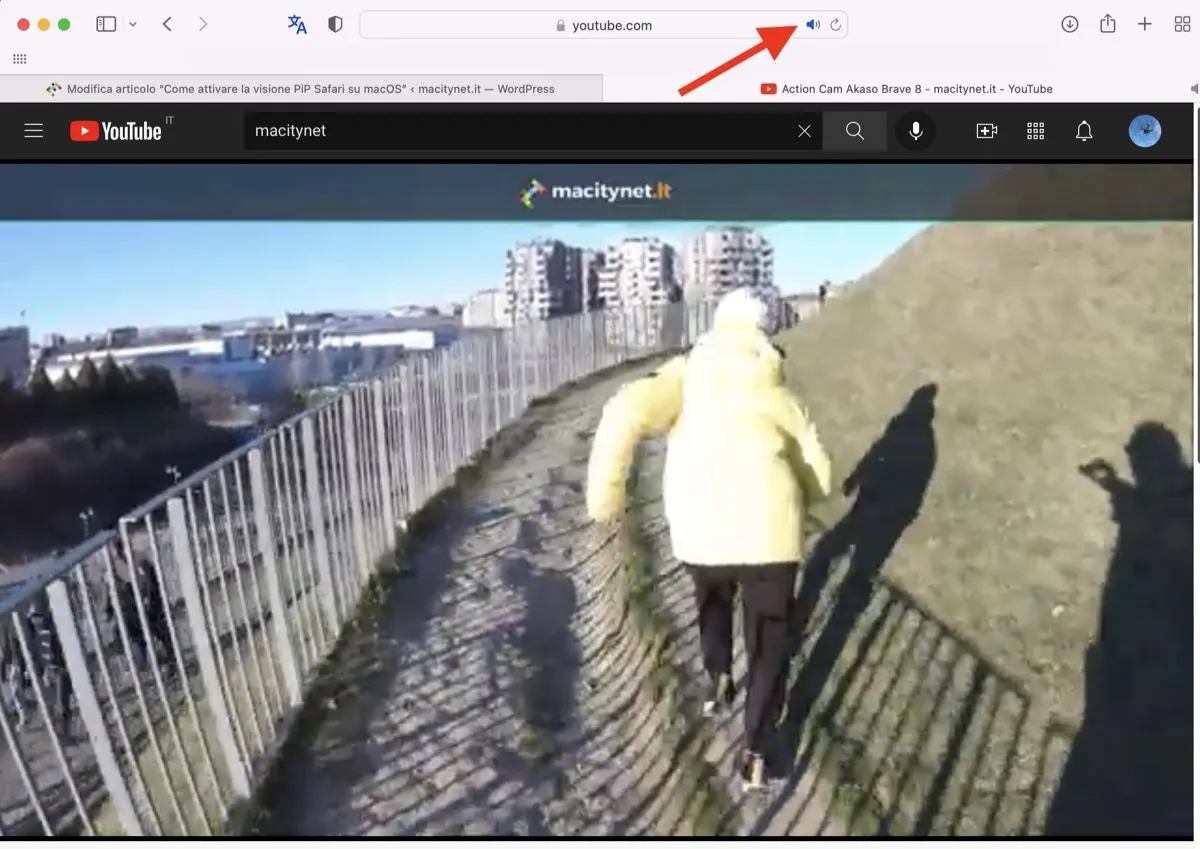 Come attivare la visione PiP Safari su macOS Come attivare la visione PiP Safari su macOS