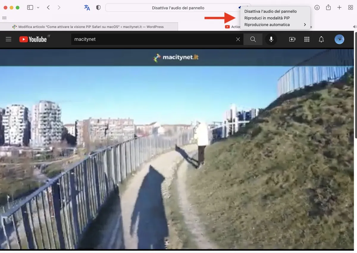 Come attivare la visione PiP Safari su macOS Come attivare la visione PiP Safari su macOS
