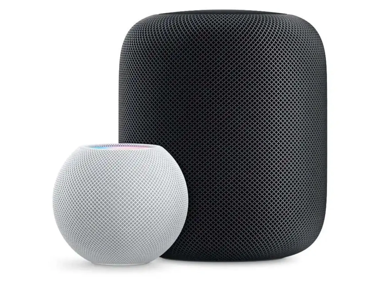 Bozza automatica Bozza automatica