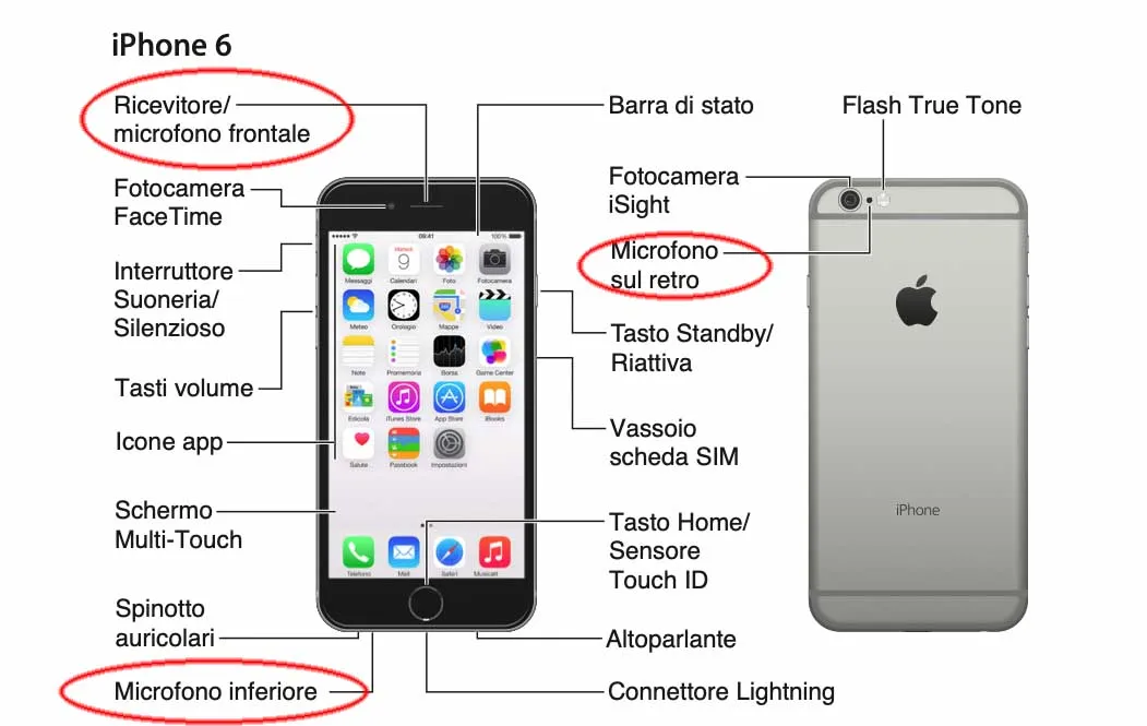 Dove si trovano i microfoni sui vari modelli di iPhone?