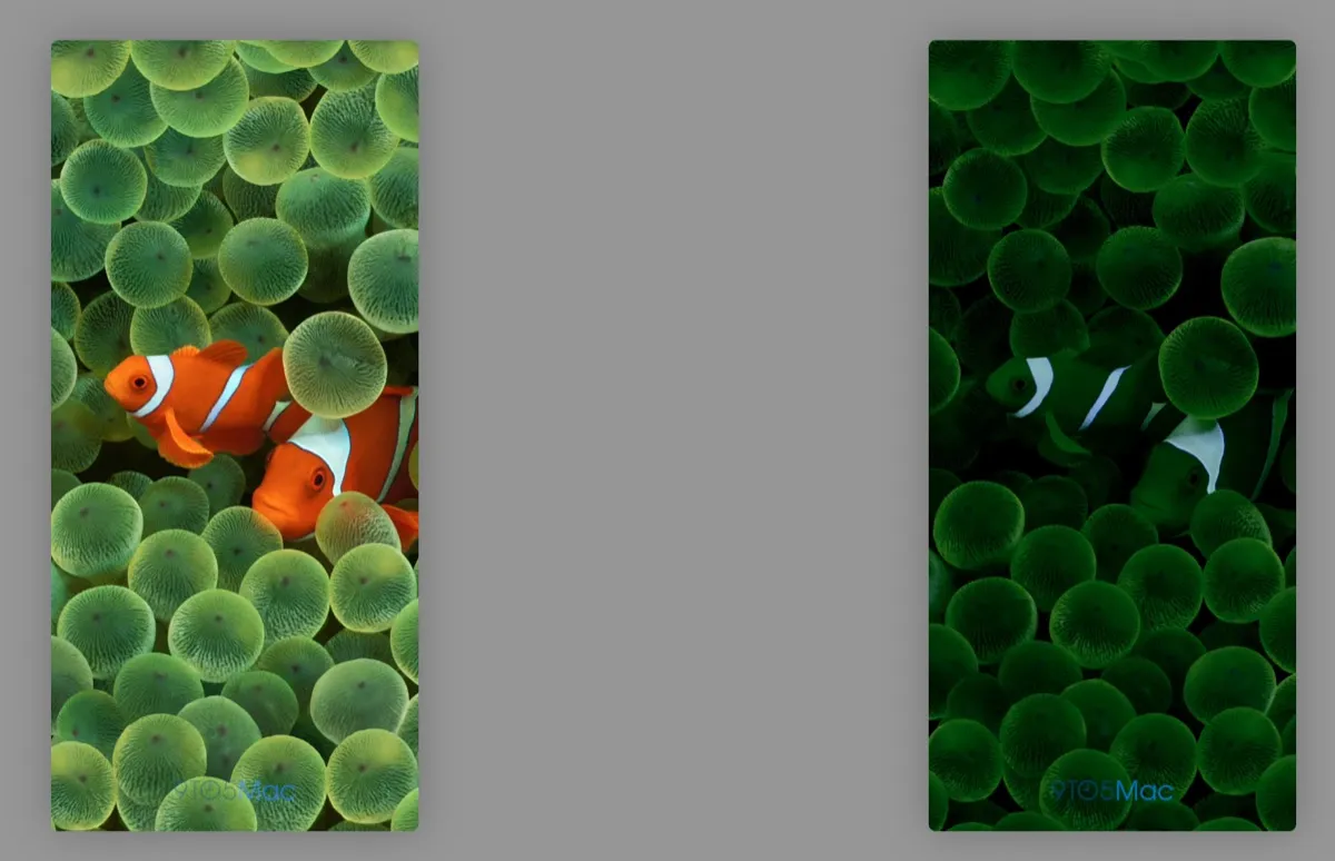 Ecco come funziona l’always on di iPhone 14 Pro