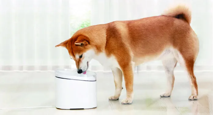 Da Xiaomi le periferiche smart per assicurare cibo e acqua sempre freschi ai propri animali domestici Da Xiaomi le periferiche smart per assicurare cibo e acqua sempre freschi ai propri animali domestici