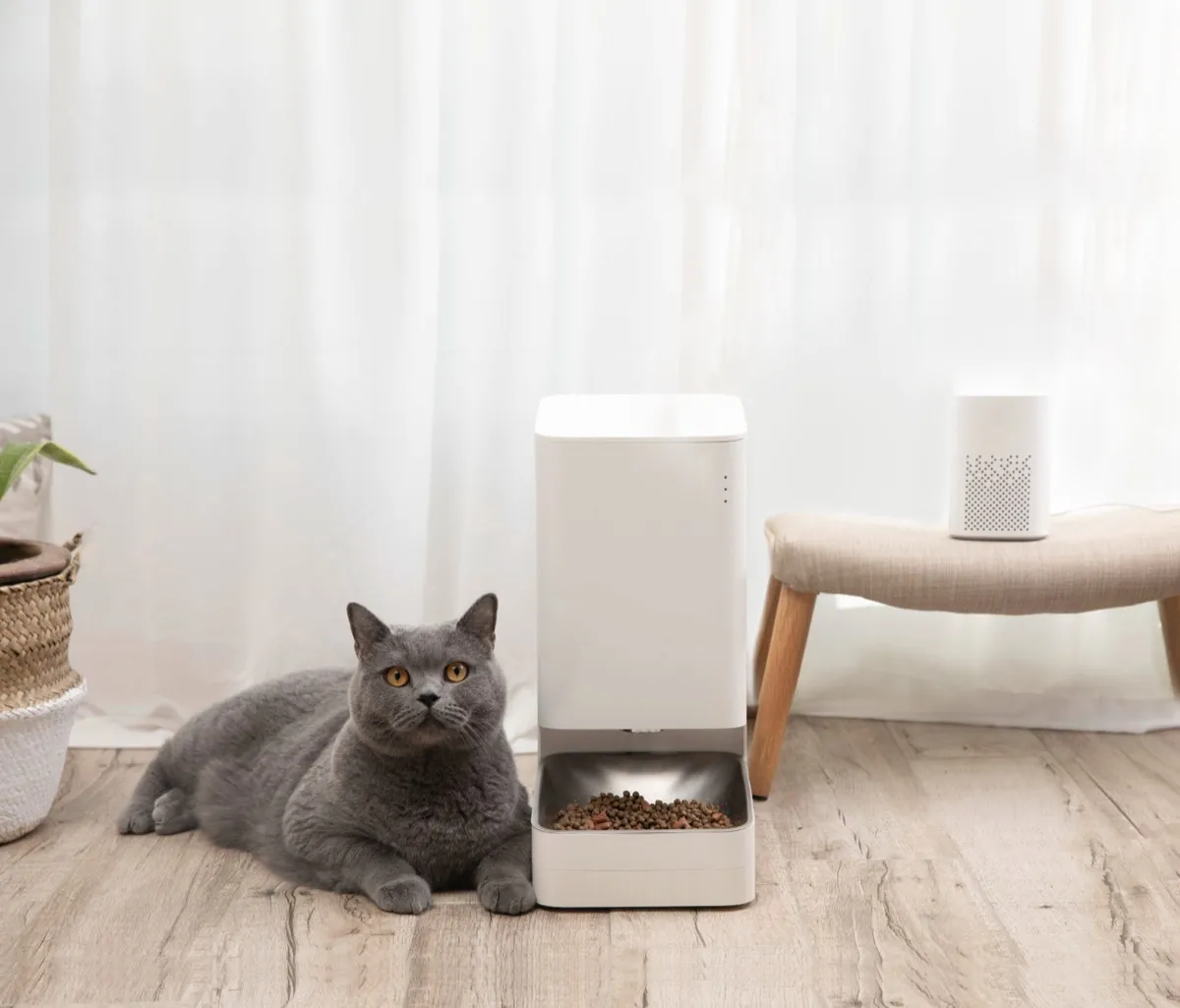 Da Xiaomi le periferiche smart per assicurare cibo e acqua sempre freschi ai propri animali domestici Da Xiaomi le periferiche smart per assicurare cibo e acqua sempre freschi ai propri animali domestici