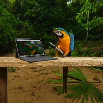 Logitech svela Combo Touch, Slim Folio e Rugged Folio per iPad 2022