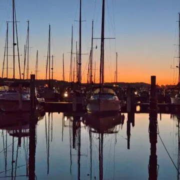 Recensione Vivo X80 Pro con tecnologia Zeiss, il top di gamma per chi ama la fotografia