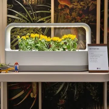 Recensione Vivo X80 Pro con tecnologia Zeiss, il top di gamma per chi ama la fotografia