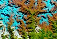 IBM e NASA studiano impatto cambiamenti climatici con l’IA