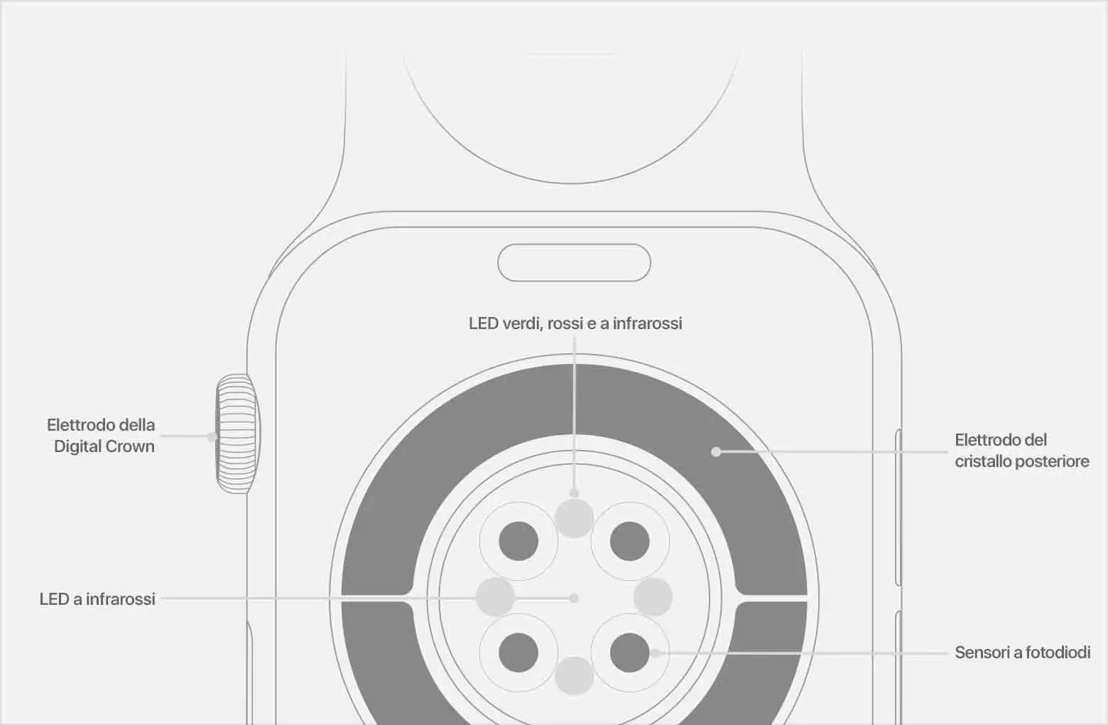 Per l’Apple Watch in grado di misurare la glicemia serviranno anni Per l’Apple Watch in grado di misurare la glicemia serviranno anni