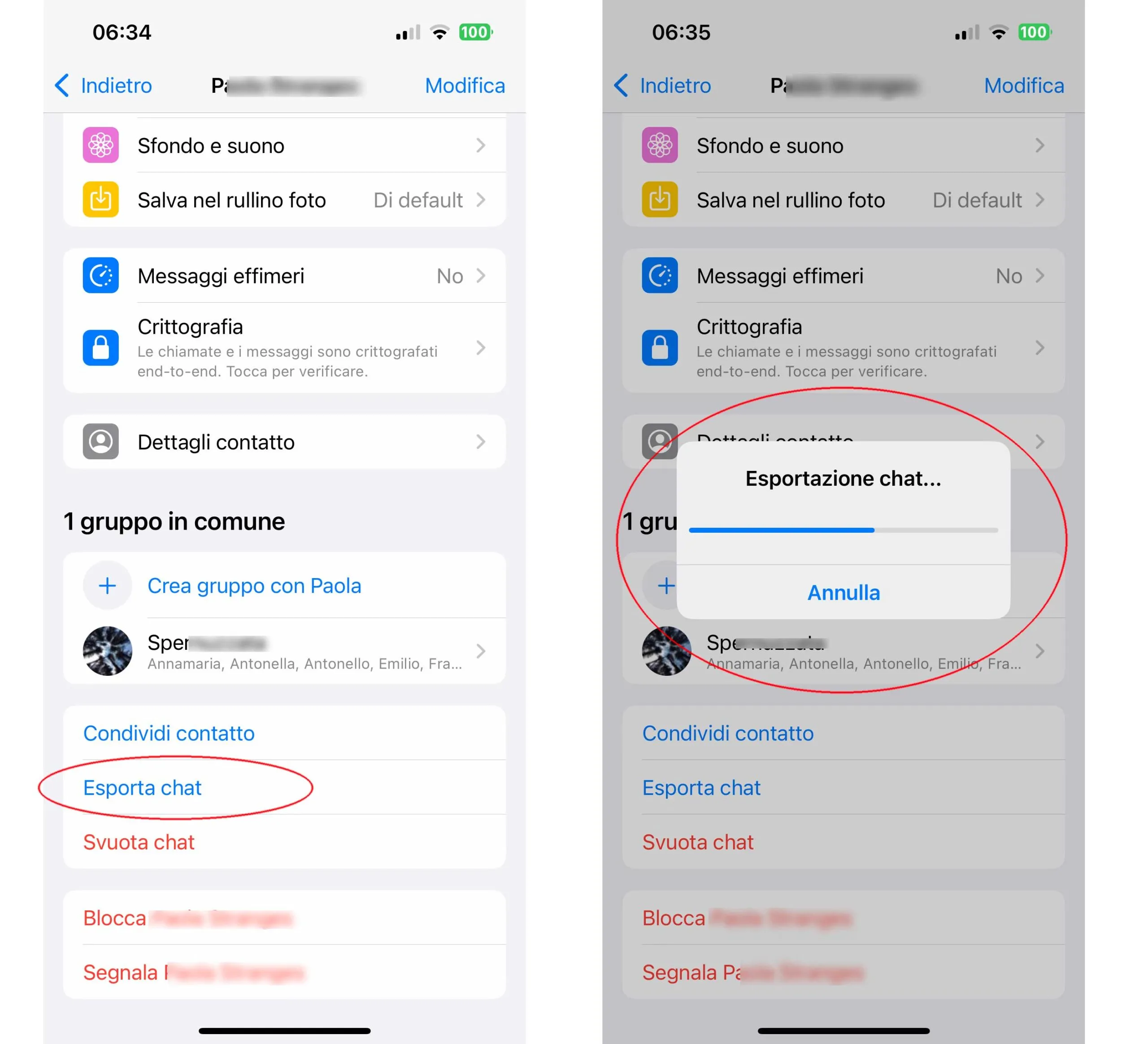Come scaricare tutte le foto, i video e gli audio di una conversazione WhatsApp Come scaricare tutte le foto, i video e gli audio di una conversazione WhatsApp