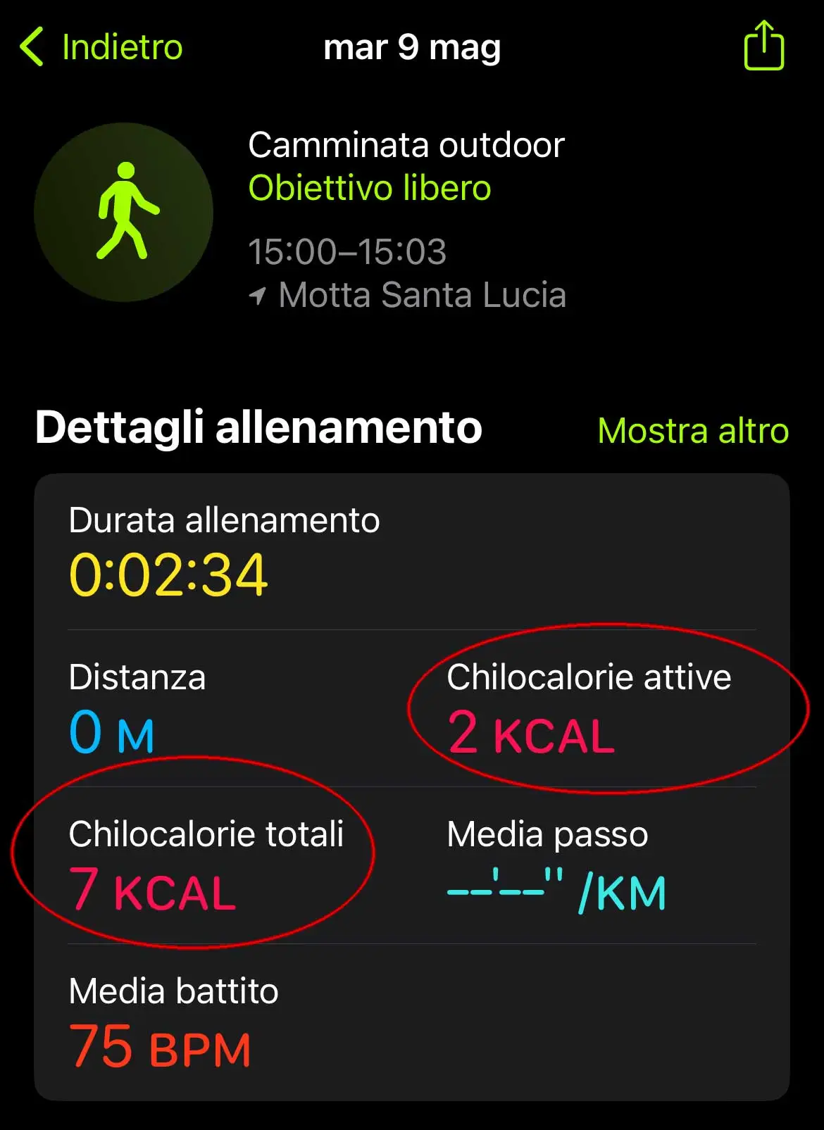 Apple Watch e iPhone, la differenza tra calorie attive e calorie totali mostrate nelle Sessioni Apple Watch e iPhone, la differenza tra calorie attive e calorie totali mostrate nelle Sessioni