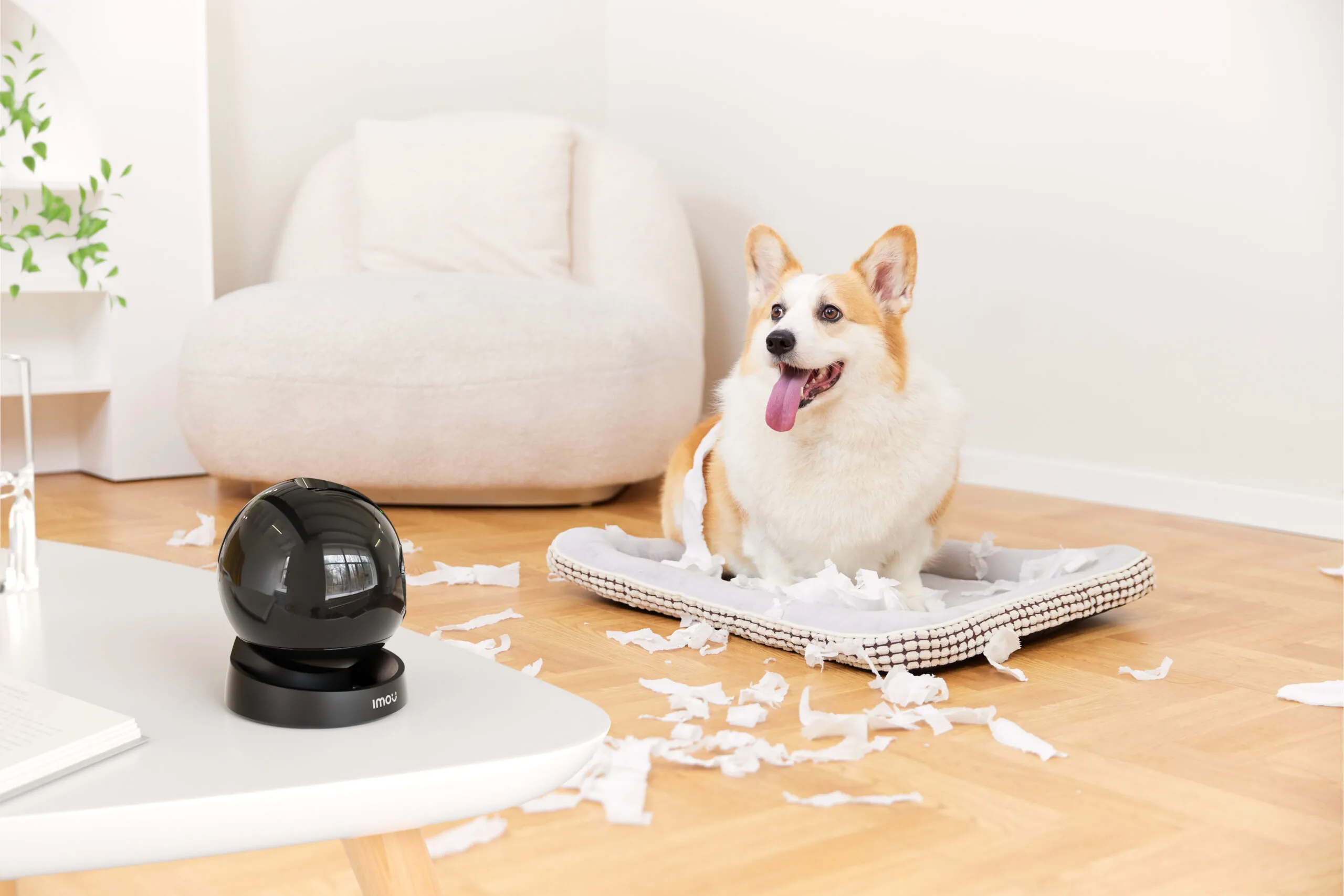 IMOU Cell Go Kit con pannello solare è la camera per l'esterno per essere totalmente Green