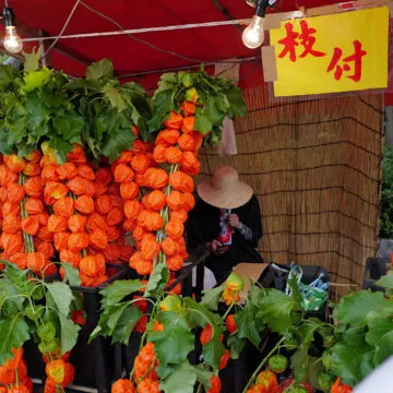 Recensione Leica Q3, la migliore compatta di sempre?