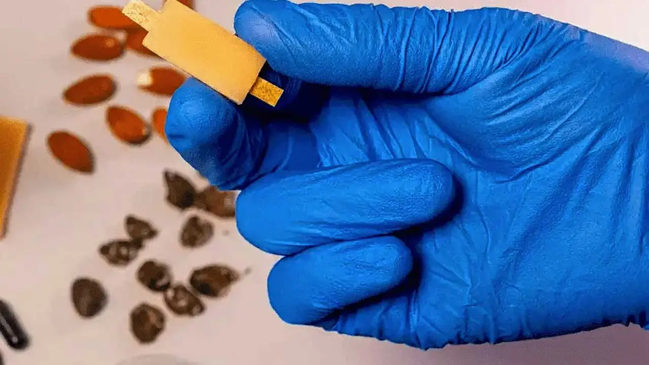 La prima batteria al mondo commestibile è italiana