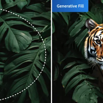 Adobe Firefly, non più in beta l'IA generativa per creare quello che suggerisce l'immaginazione