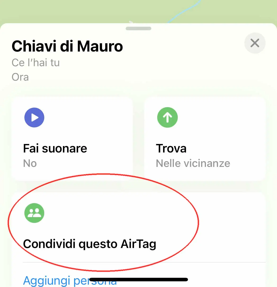 Come condividere un AirTag con familiari e amici Come condividere un AirTag con familiari e amici