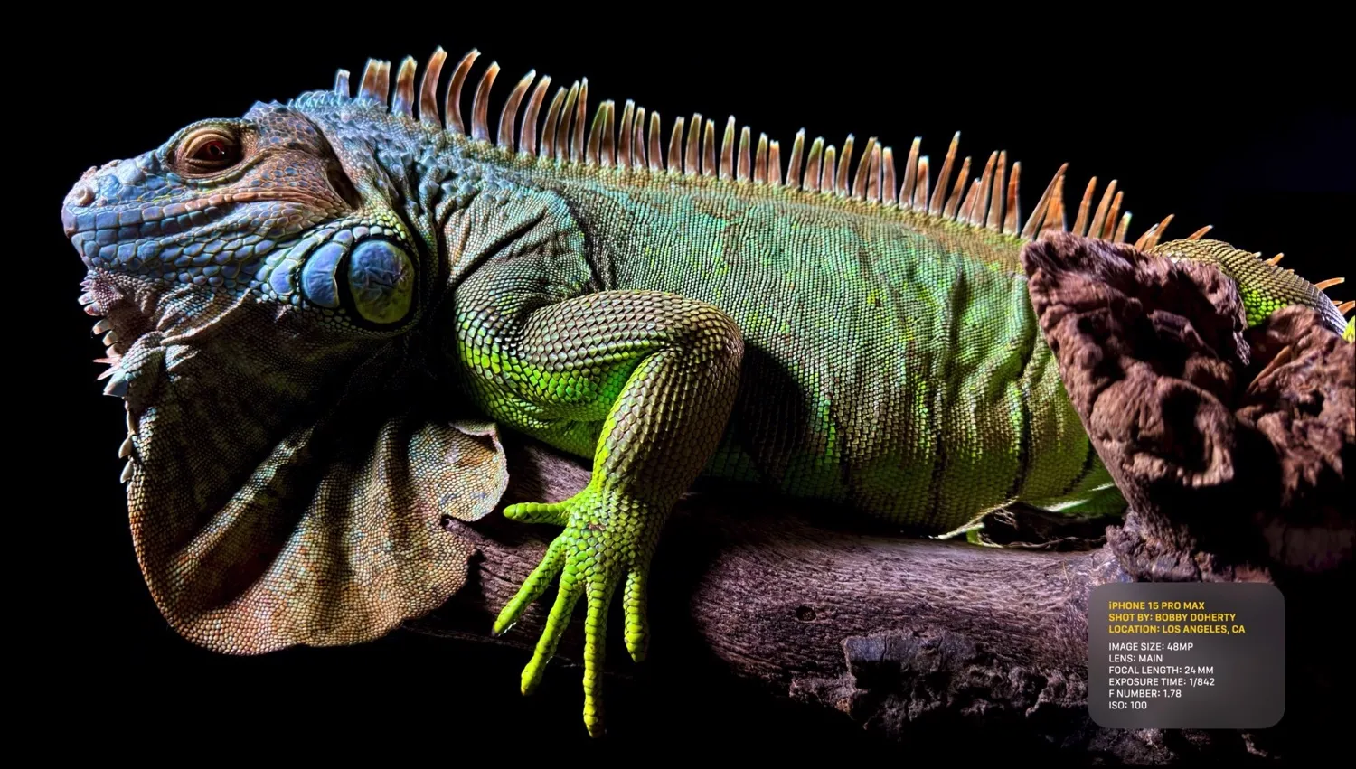 apple iphone 15 pro macitynet00016